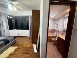 Simsville (D14), Condominium #576240161
